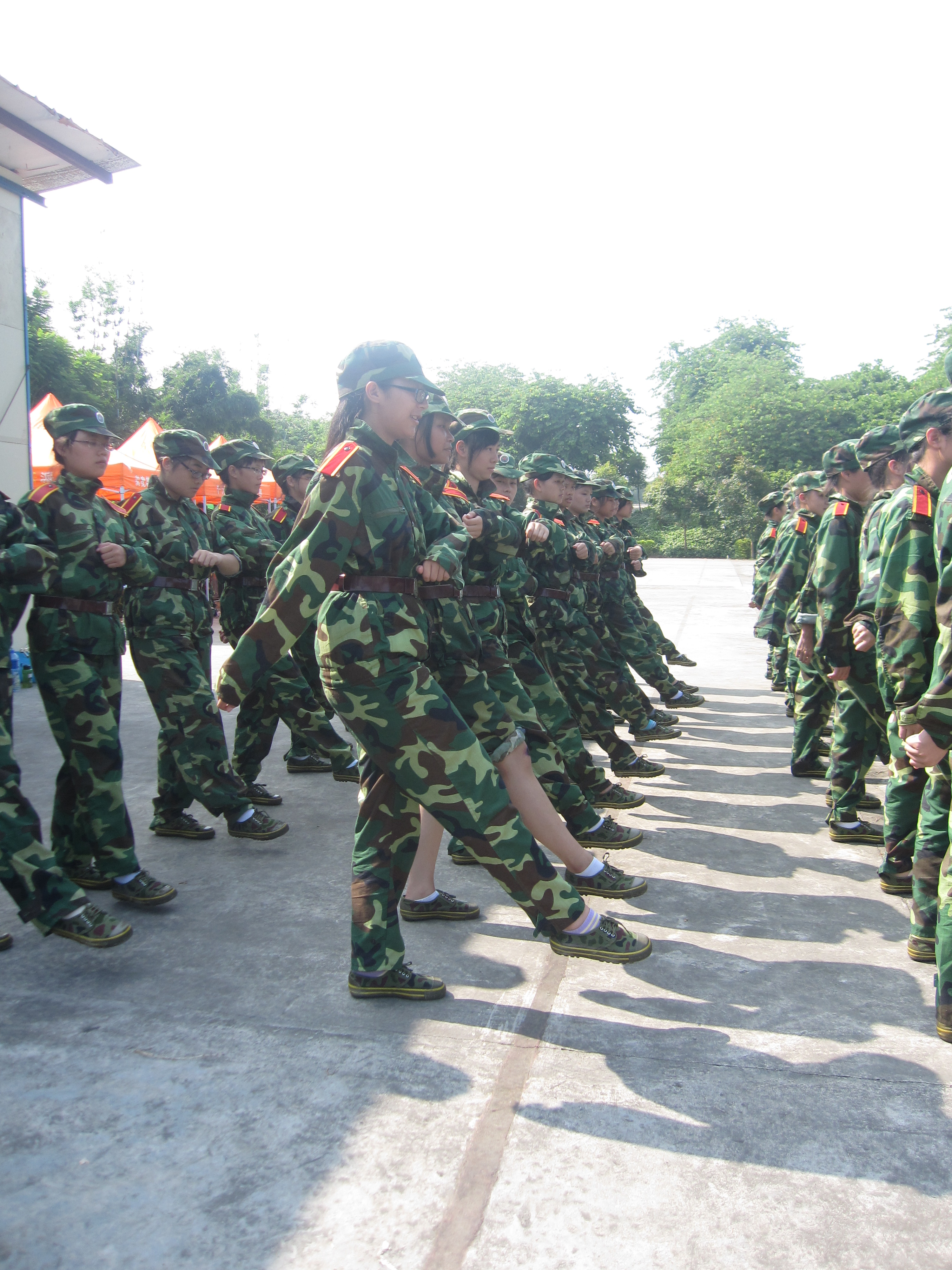 太阳成集团tyc33455